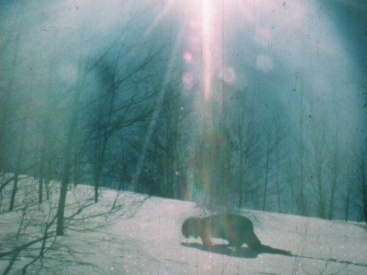 UNDERGROUND CINEMA FESTIVAL tweet media