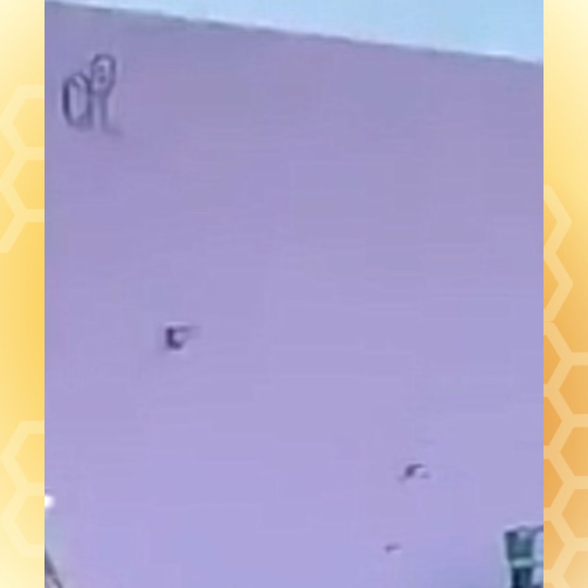 Buzzing Pop tweet media