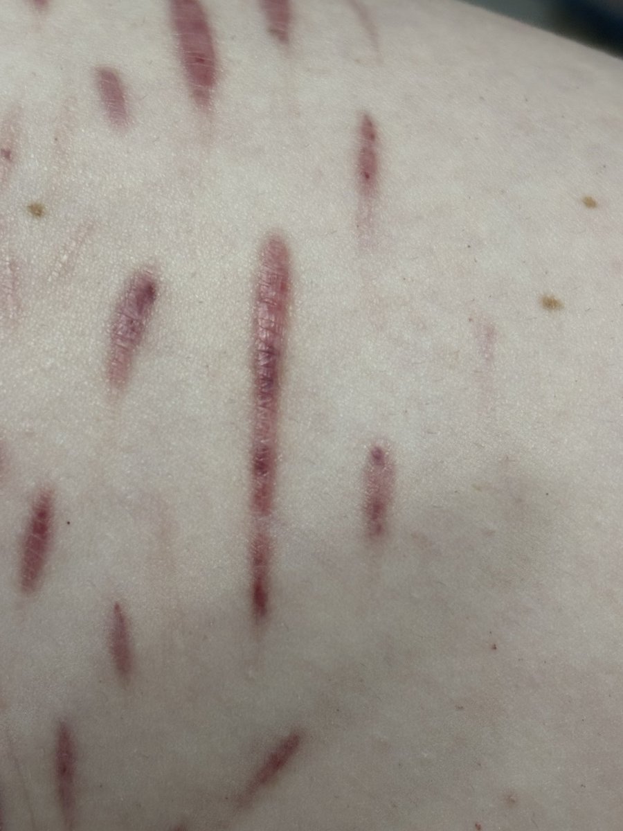 Alice Cullen of shtwt ୭ ˚. ᵎᵎ tweet media