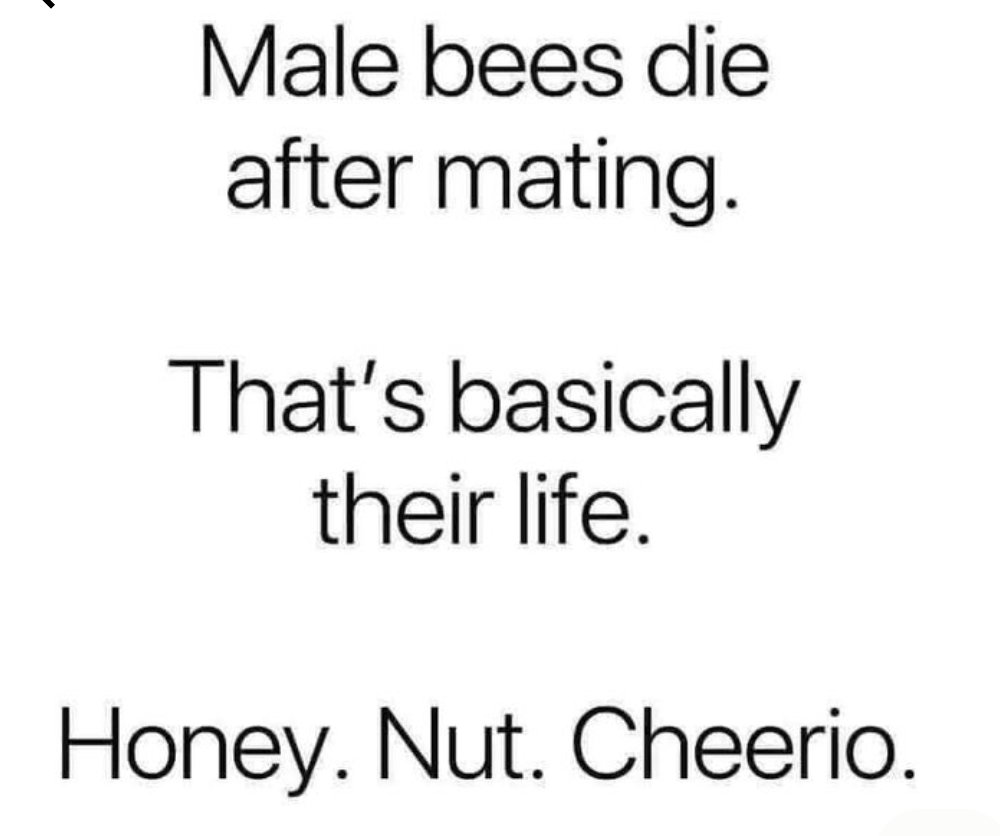 Monica from Wisconsin🇺🇸 tweet media