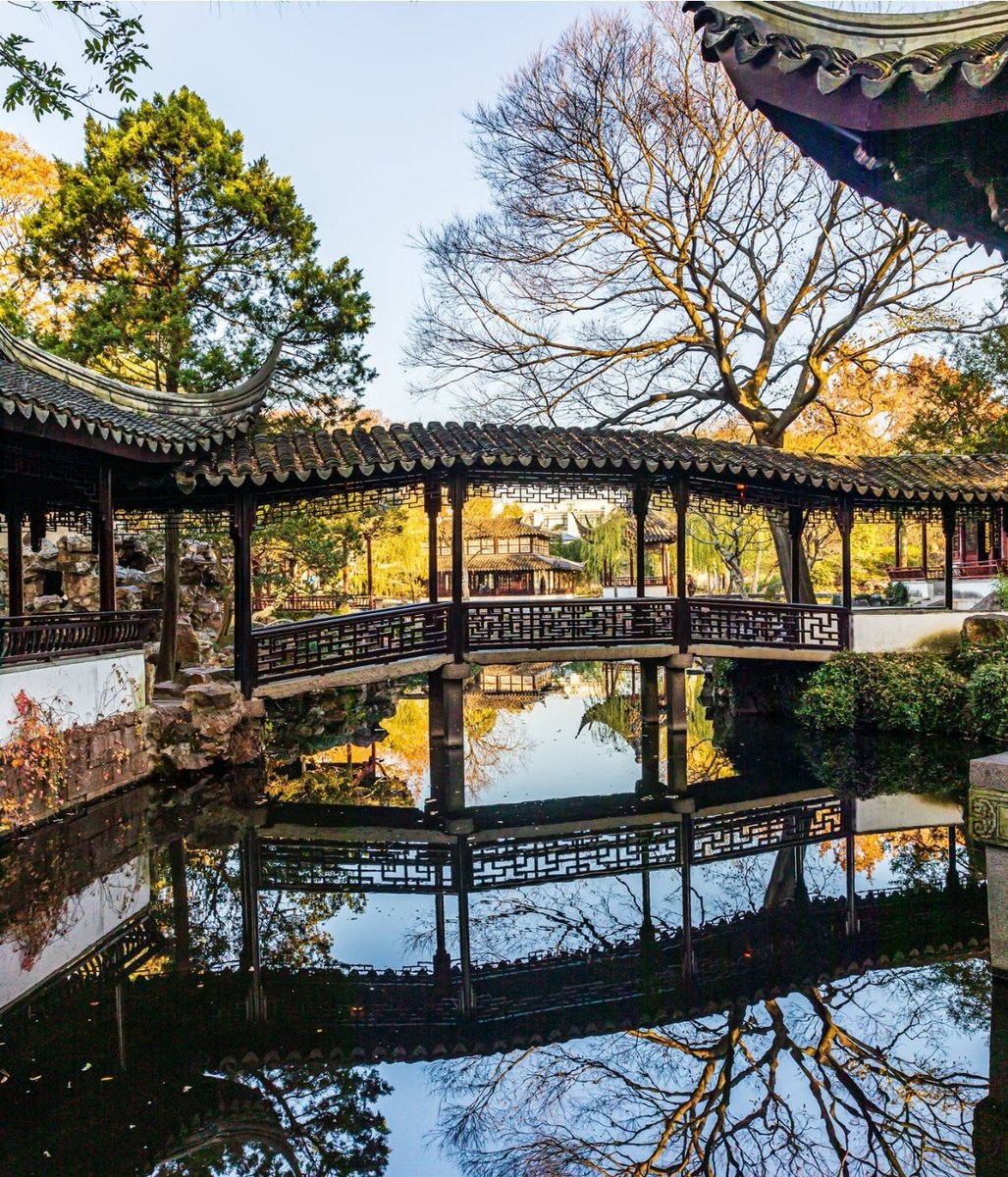 白榆（互fo） tweet media