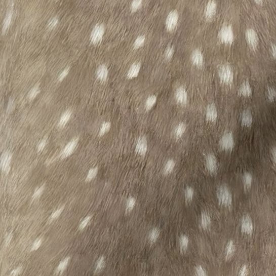 재린 | JAE tweet media