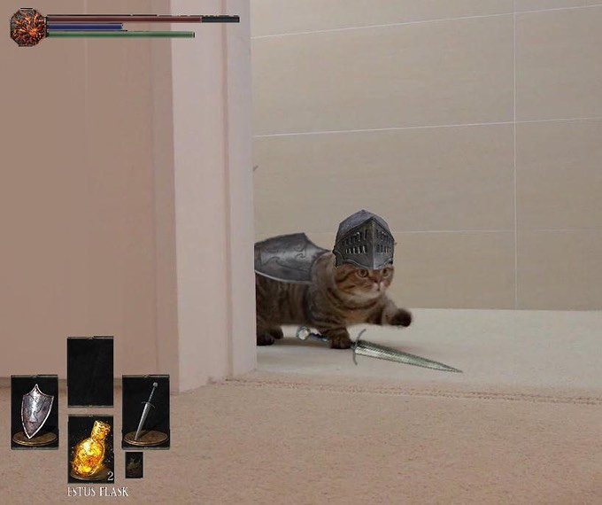 Punch Cat tweet media