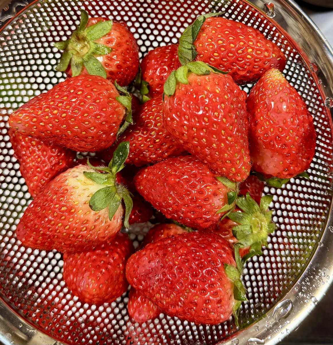 ワイルドバード tweet media