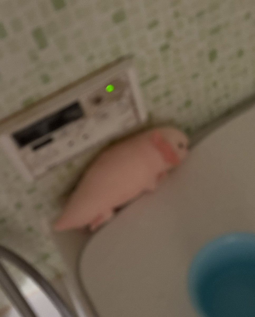 りんご犬@バクアクギ3巻でるよ tweet media