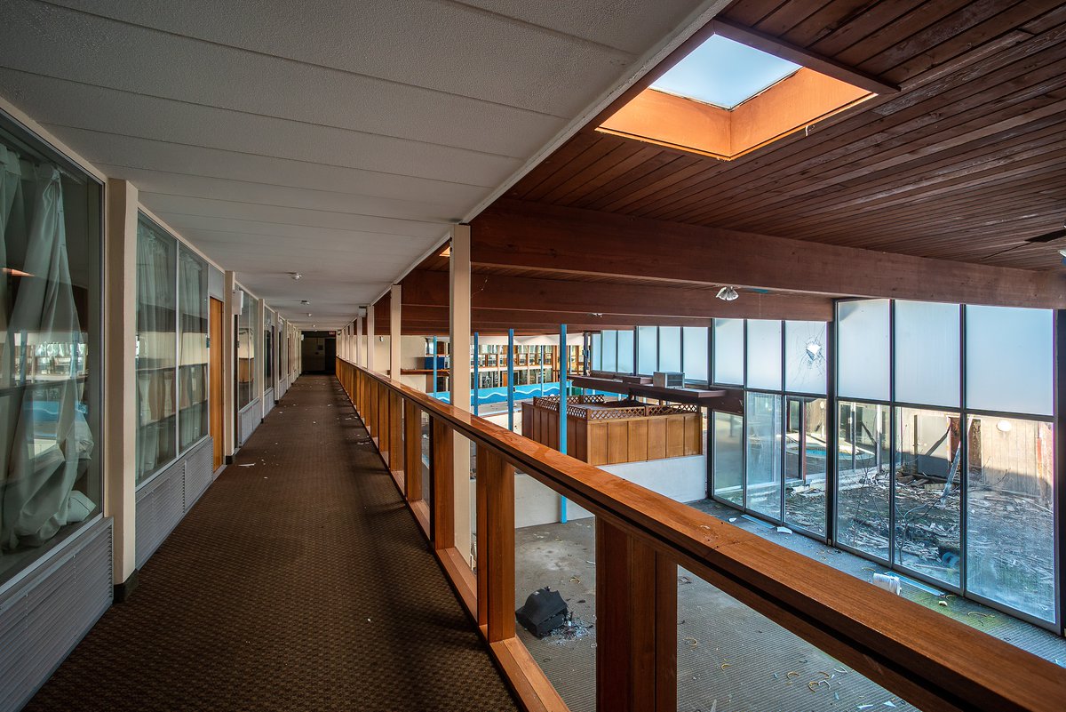 Mr. P. Explores tweet media