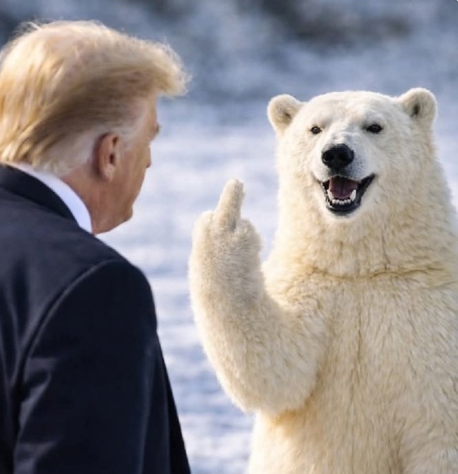 Tina Sizemore 💙 tweet media