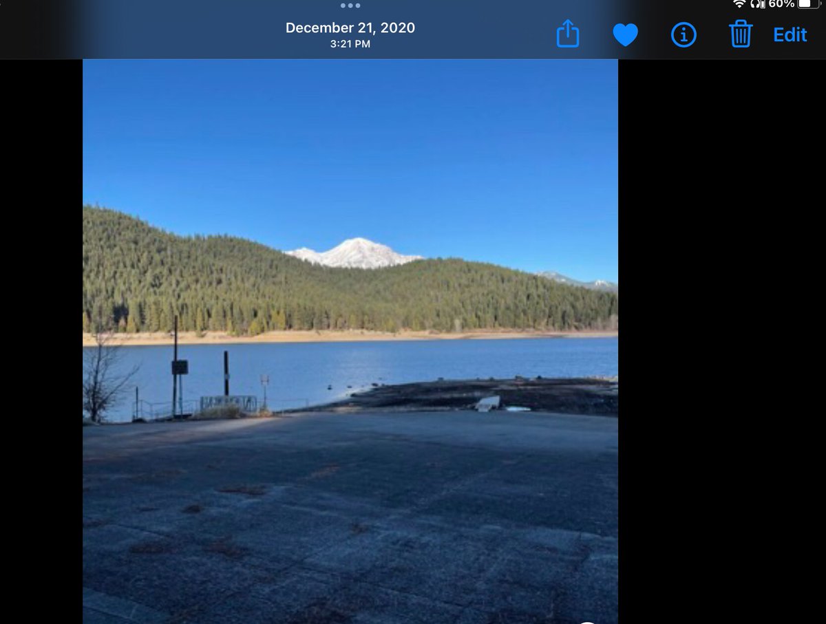 I AM MOSS tweet media