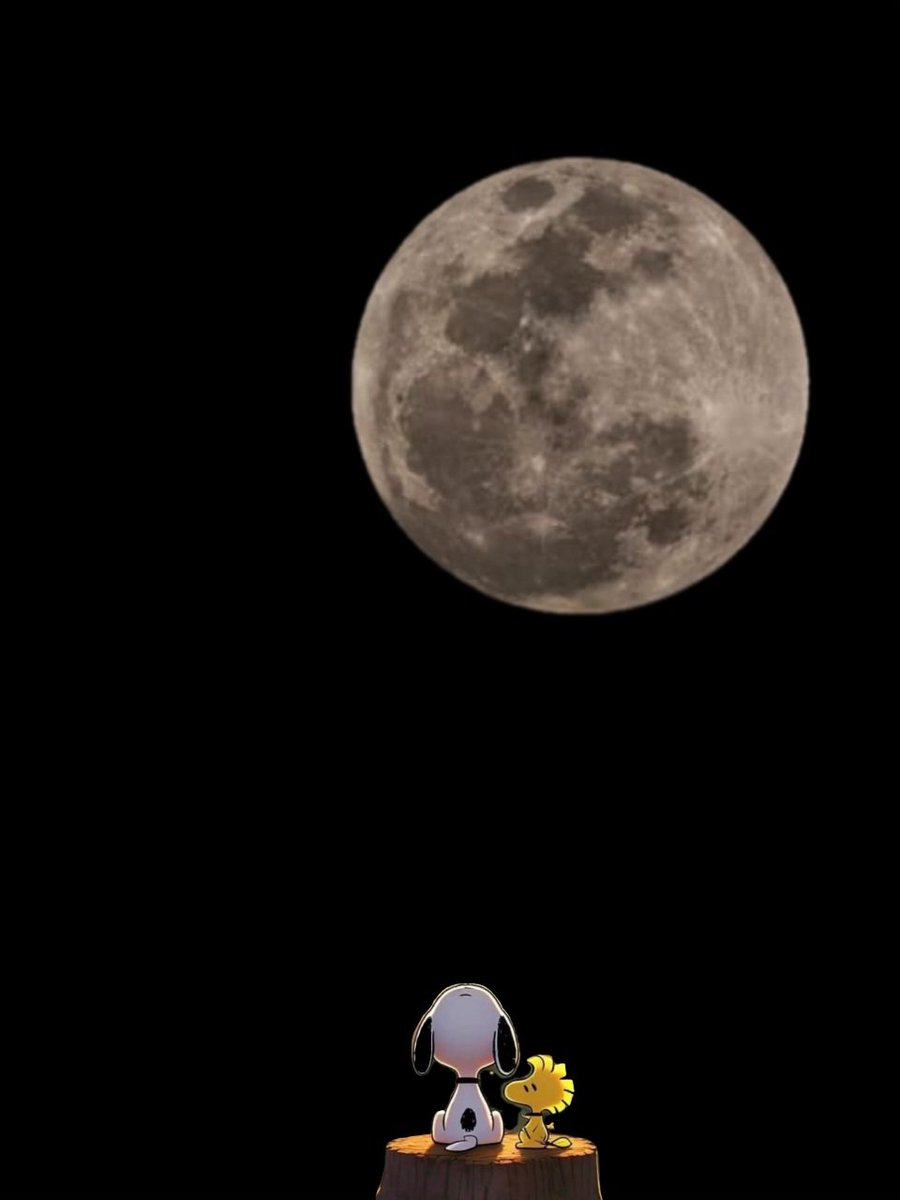 Dian ❨・¨⬮ tweet media