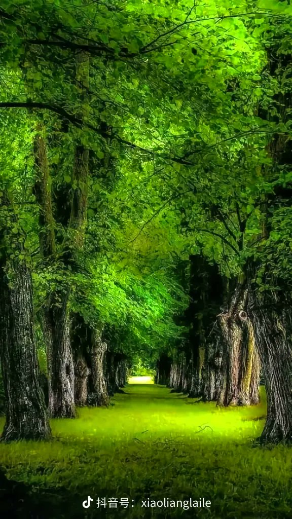 gbdst(互fo) tweet media