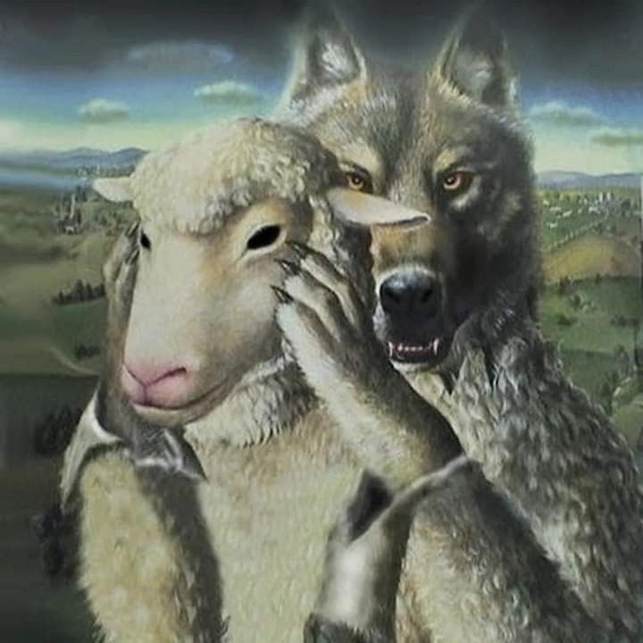 shaii𖹭 tweet media