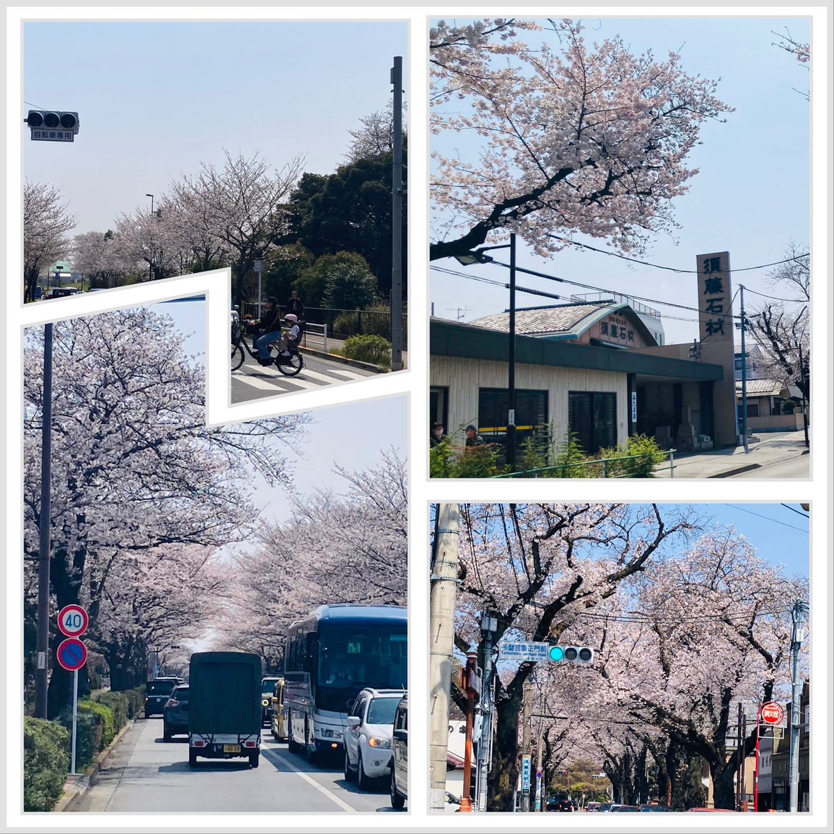coach_shincha's tweet photo. 花のトンネル🌸

ド派手ではないけれど、
この桜のトンネルを歩いていると、
静かにワクワクが広がり、ドーパミンが分泌されているのを感じる。

そんな、幸せなひととき。

カラーセラピーという手法があるように、
桜の花にも、心を整える大きな力が宿っているのかもしれない🌿

#桜 #さくら https://t.co/SR4bZctRcf