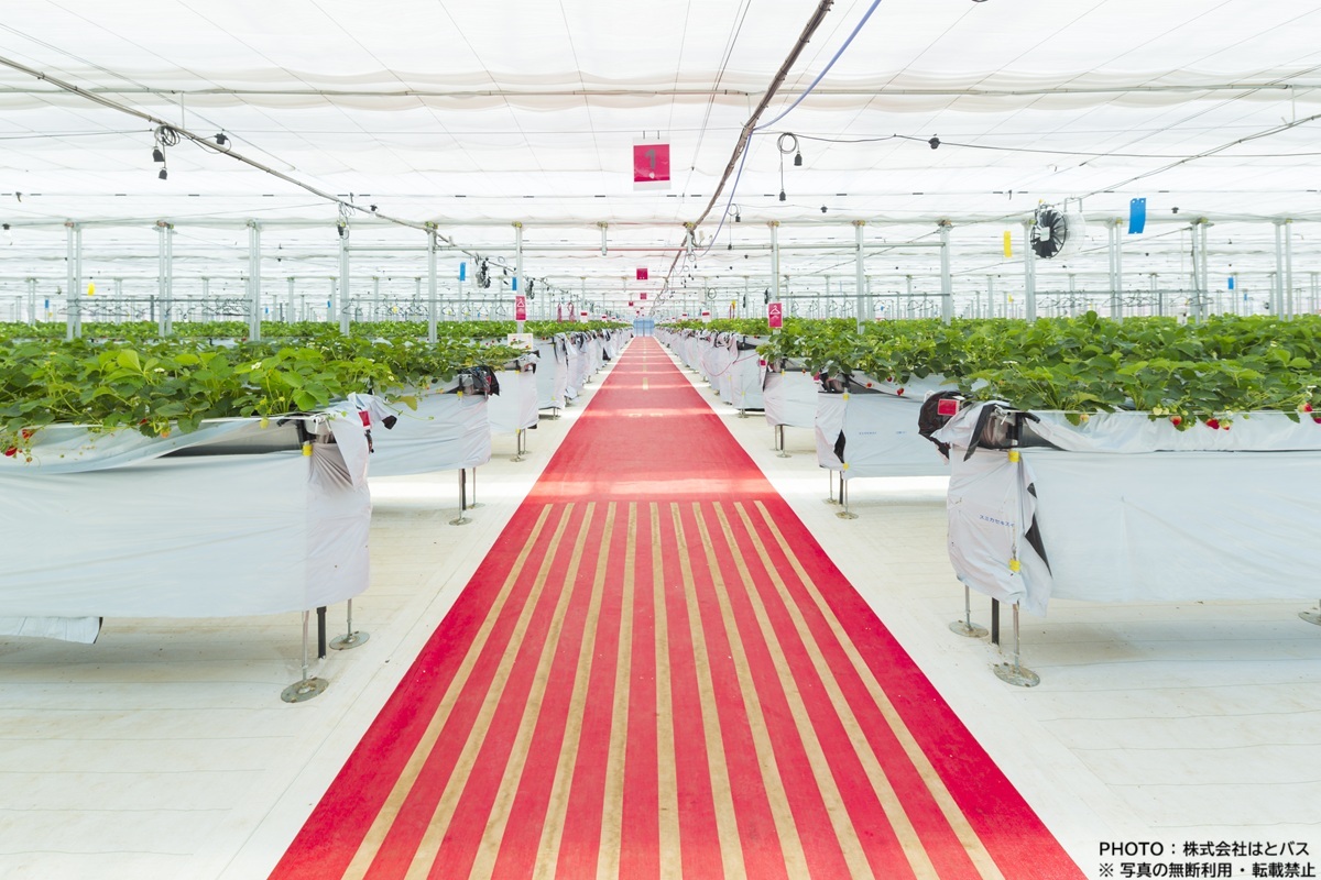 バスグラフィック【公式】 tweet media