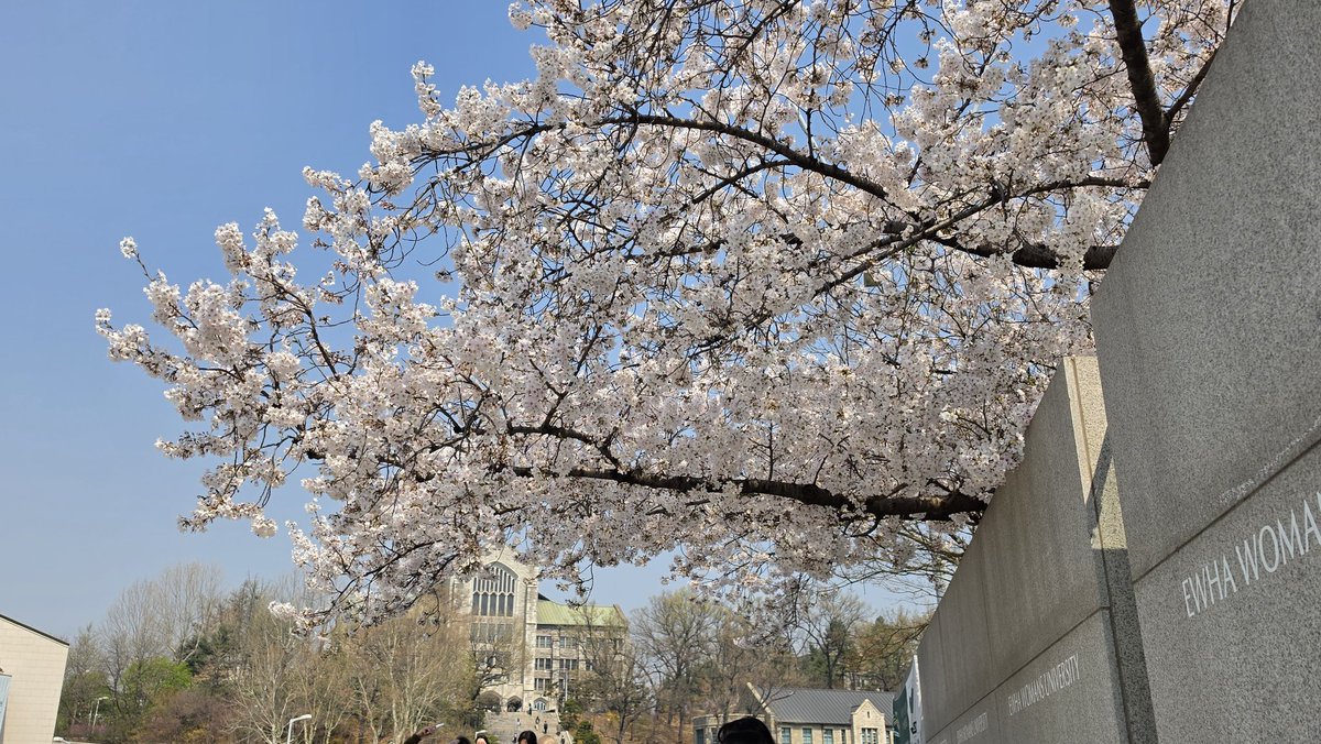 삼사미 tweet media
