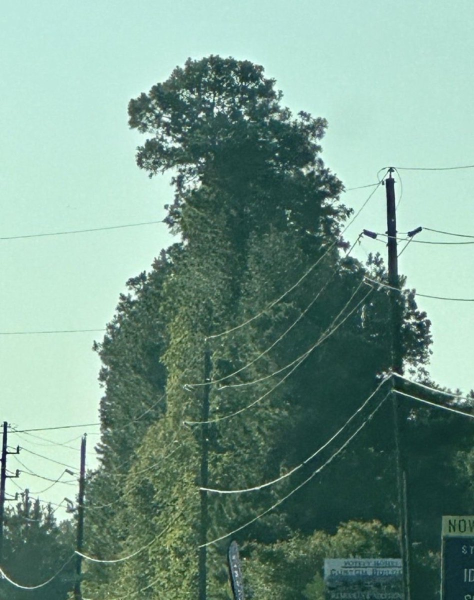 ❄️氷彩ひいろ❄️ tweet media