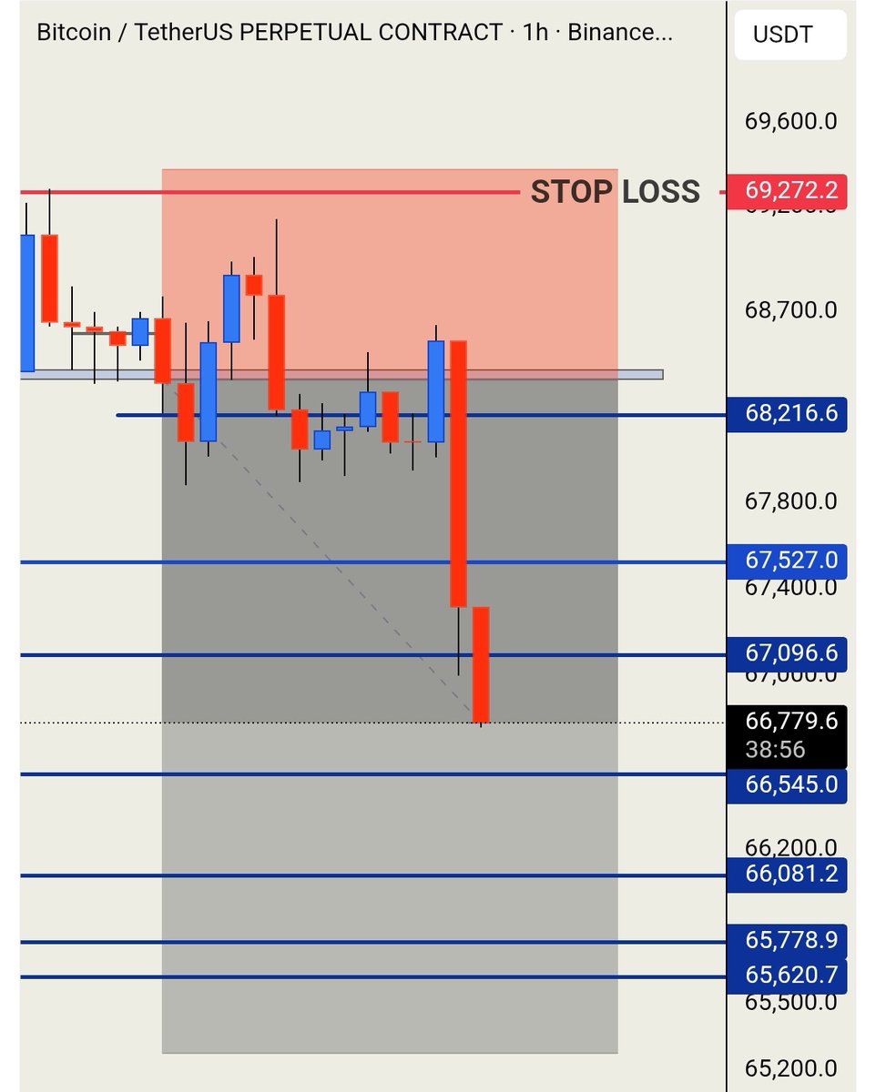 Trend Avi tweet media