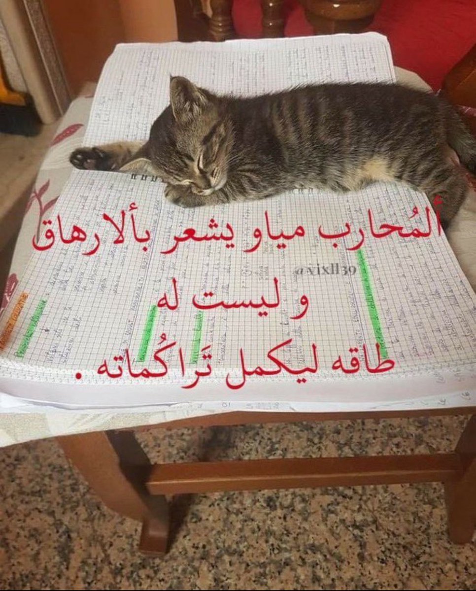 muff‏in tweet media