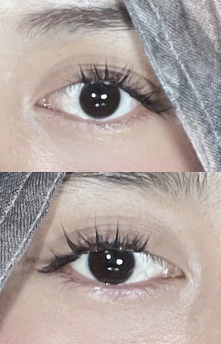 fin🦢🫧 tweet media