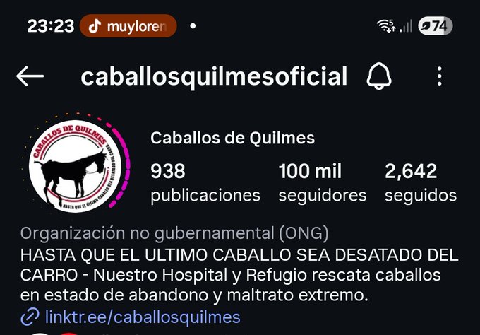 Oguro Star Blossom tweet media