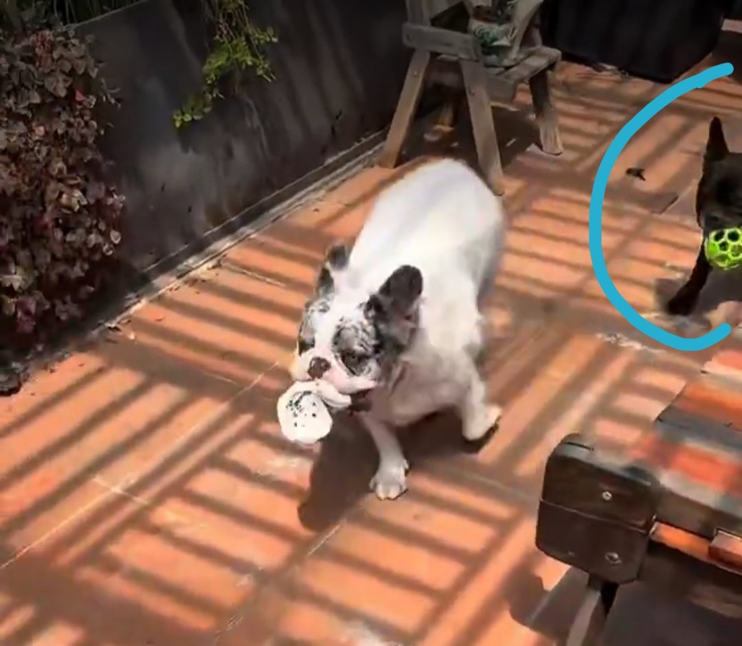 SAM | DALILAH CANCELLED!❤️‍🔥 tweet media