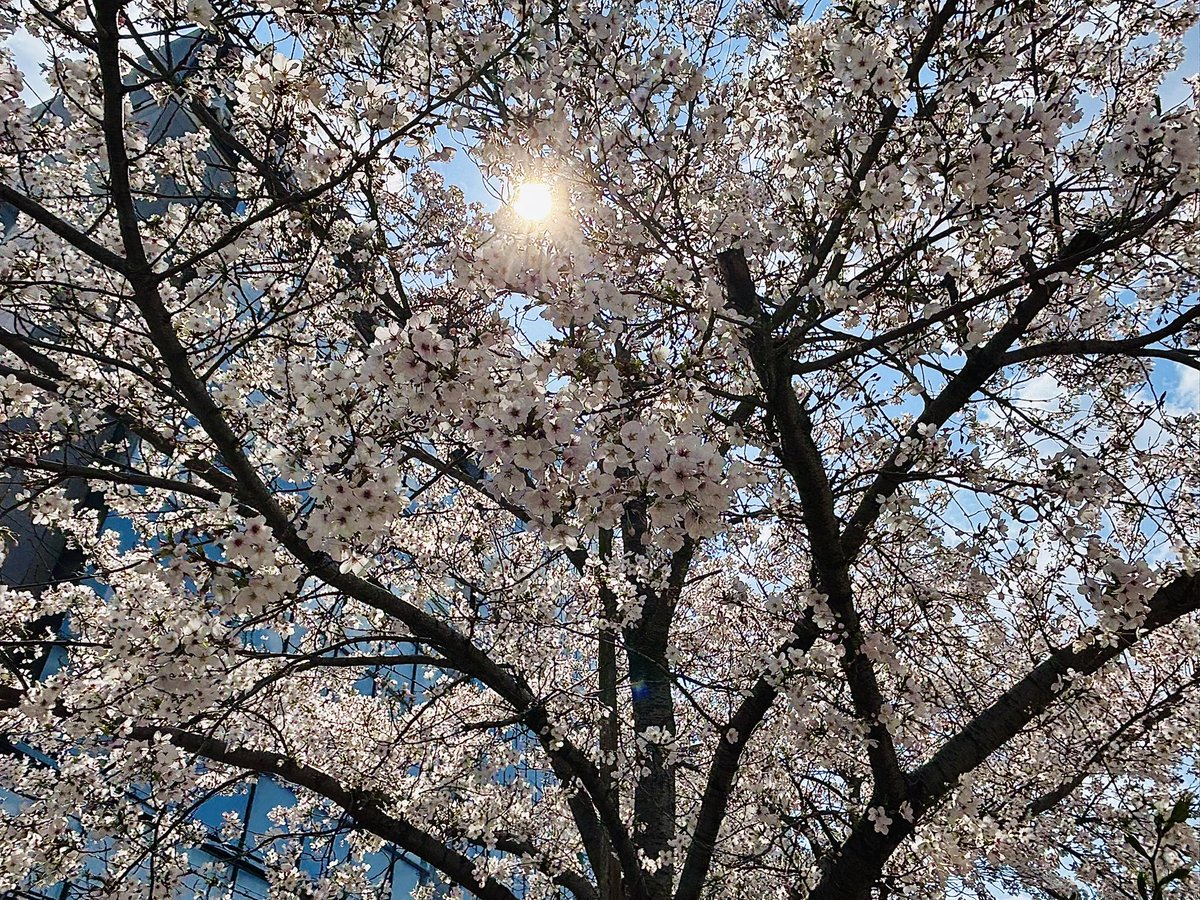 St.Tailly 💭 tweet media