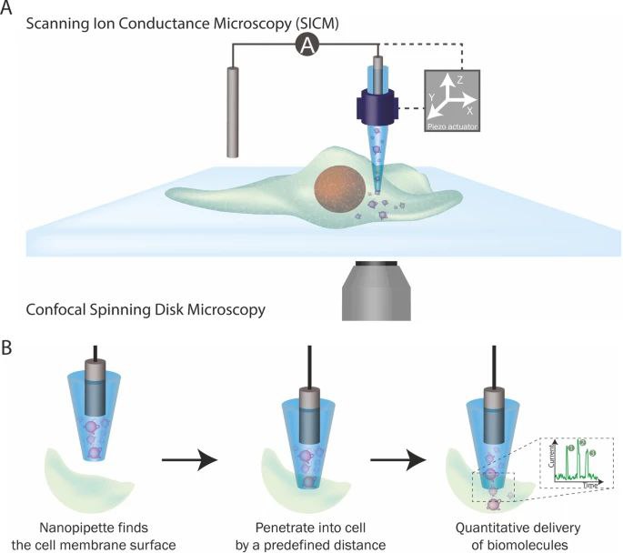 UC WorkRoom tweet media