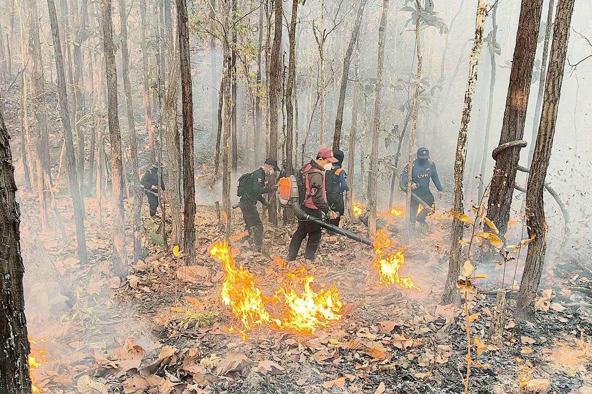 กองบัญชาการกองทัพไทย (ศูนย์ประชาสัมพันธ์กองทัพไทย) tweet media