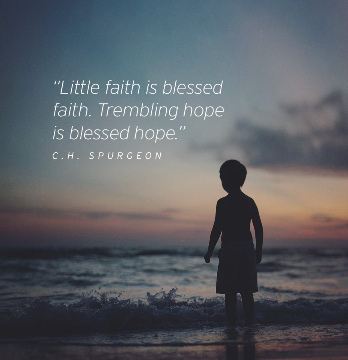 Thug Life Calvin🌷 tweet media