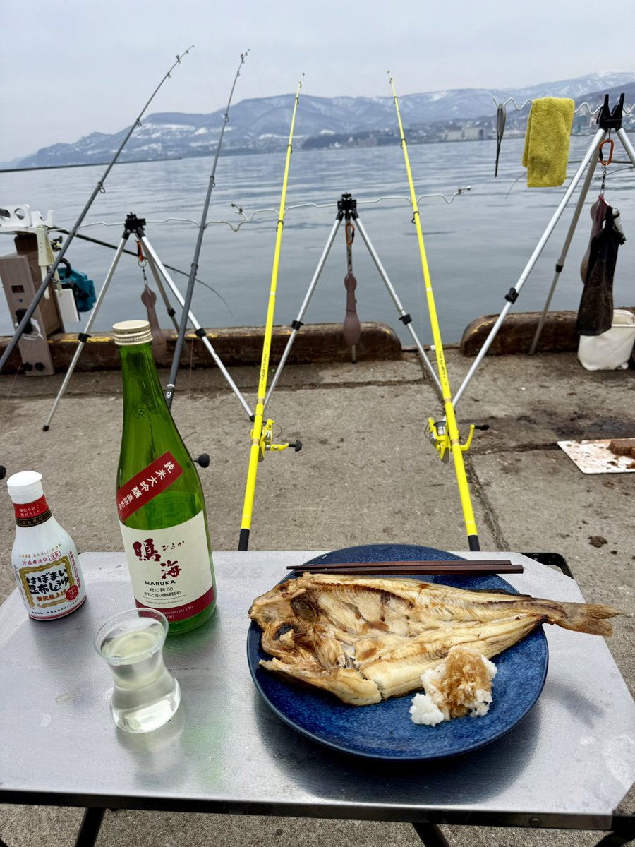 寅次郎 tweet media