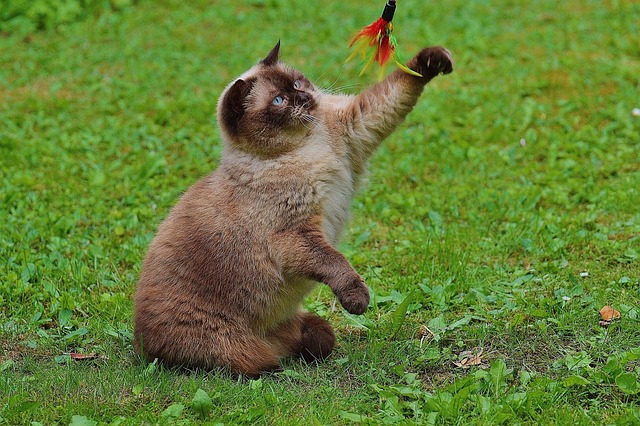 Jessica Mitchell tweet media