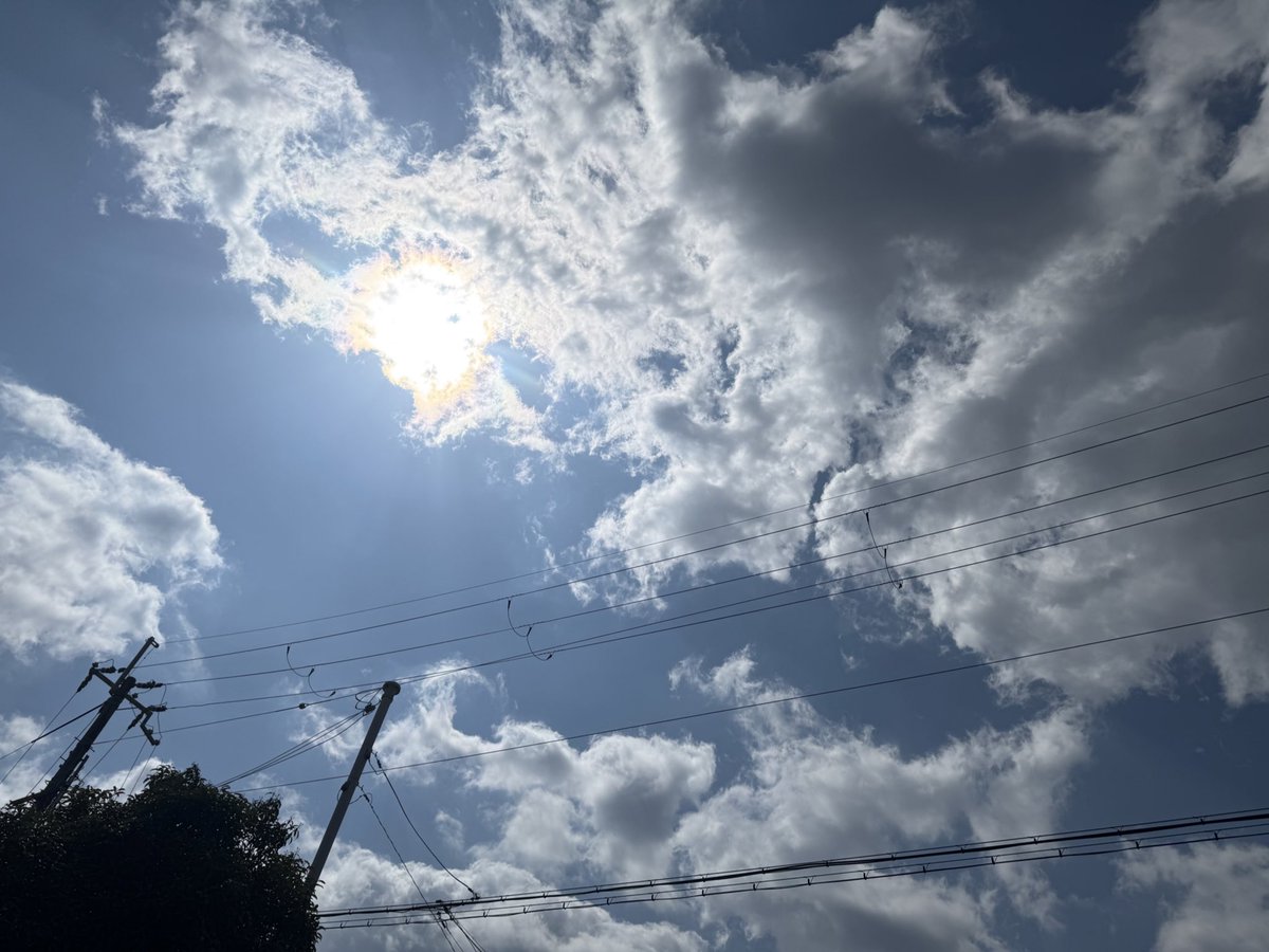 れをみぃ@歌うたまっ子💜☪️ tweet media