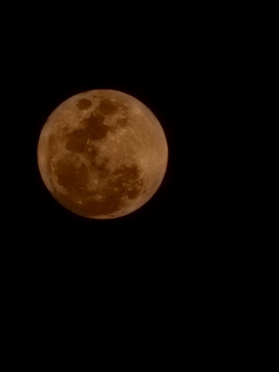 사탕✰ tweet media