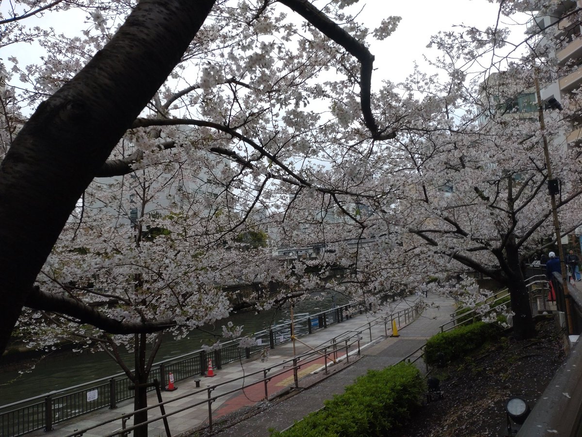 大川園 tweet media
