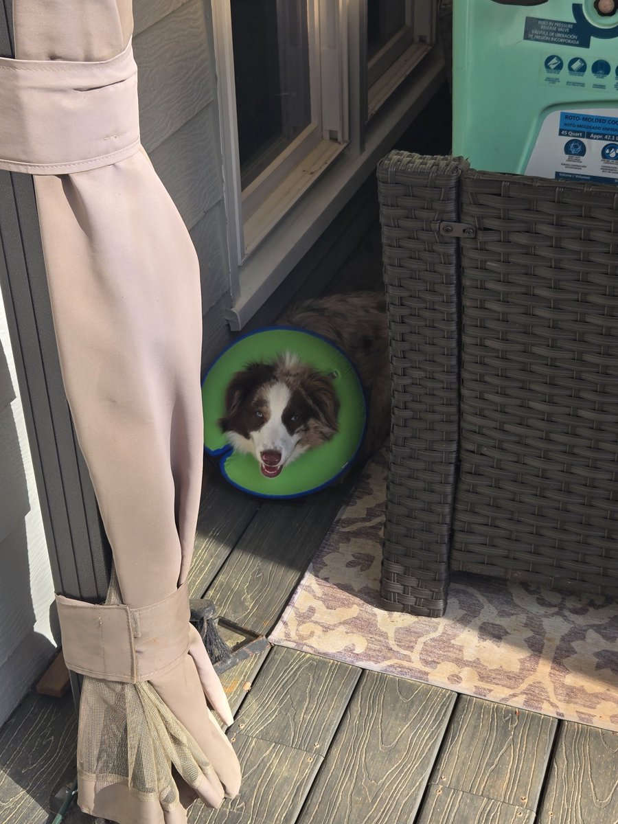 Sports Sufferer tweet media