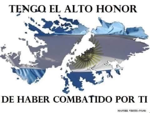 Daniel Stella tweet media