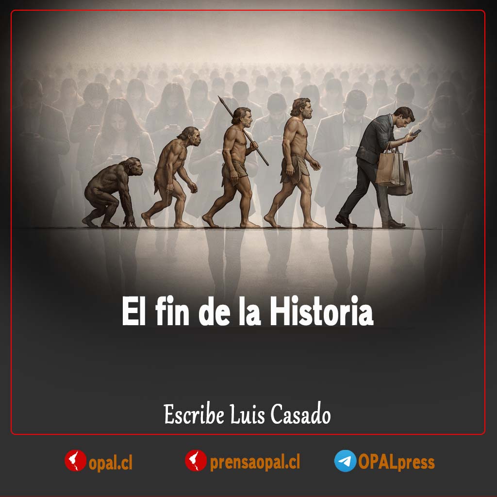 OPAL prensa tweet media