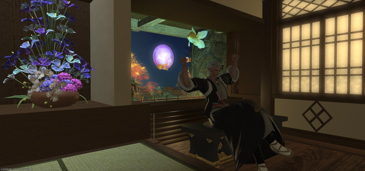 じろともふ猫 tweet media