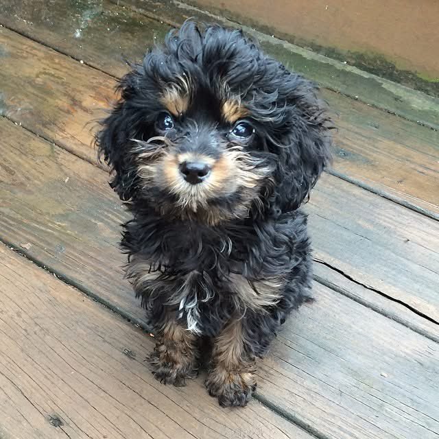 sour patch💕 tweet media