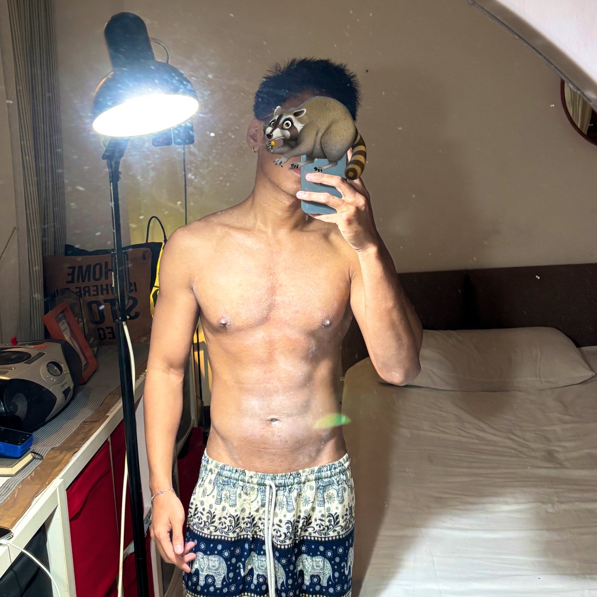 Kun🦝🌲 tweet media