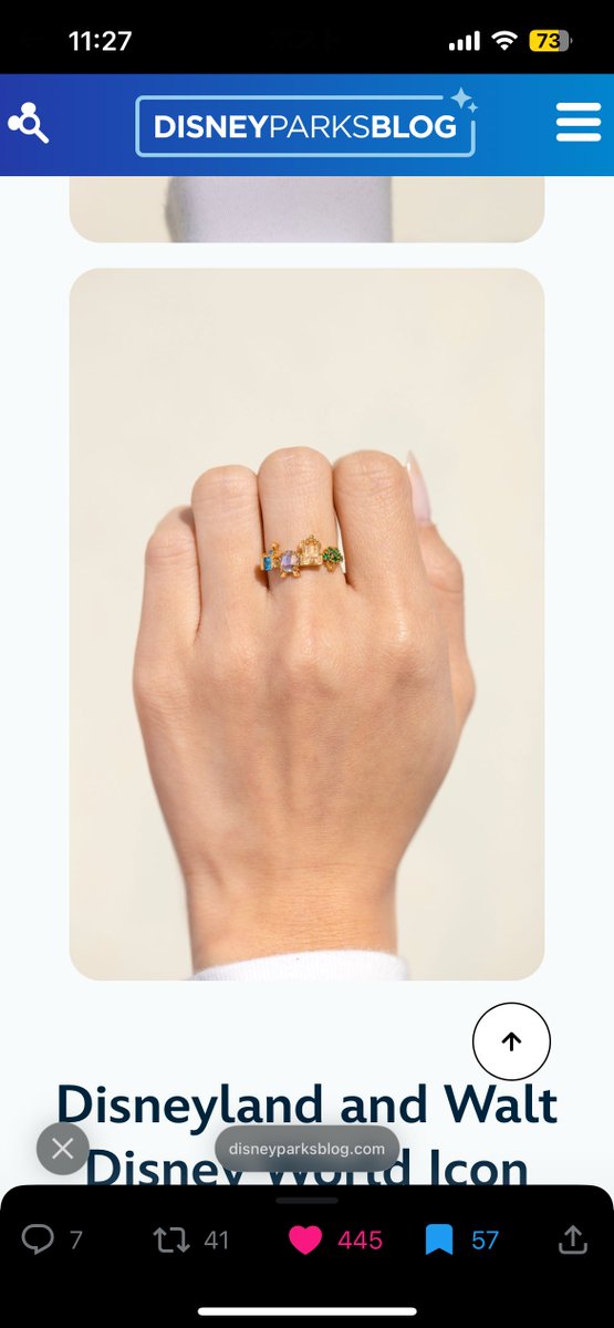 きゃる Apr.WDW.DCL(wish)🚢 tweet media