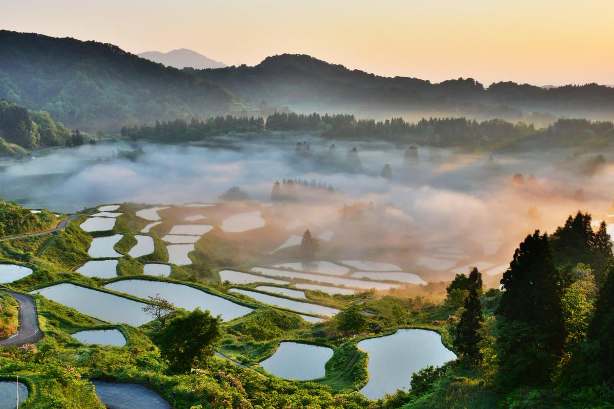 心がほどける、もう一つの故郷　”山古志“  写真１枚目：「空ってこんなに広かったっけ！？」  写真２、３枚目 ：季節によって変わる棚田の景色  〜山古志って...〜 💠ここには急がない時間がある　 💠思い出すのはこういう景色　 💠ただ、深呼吸したくなる場所 #山古志 #絶景スポット #Japantravel