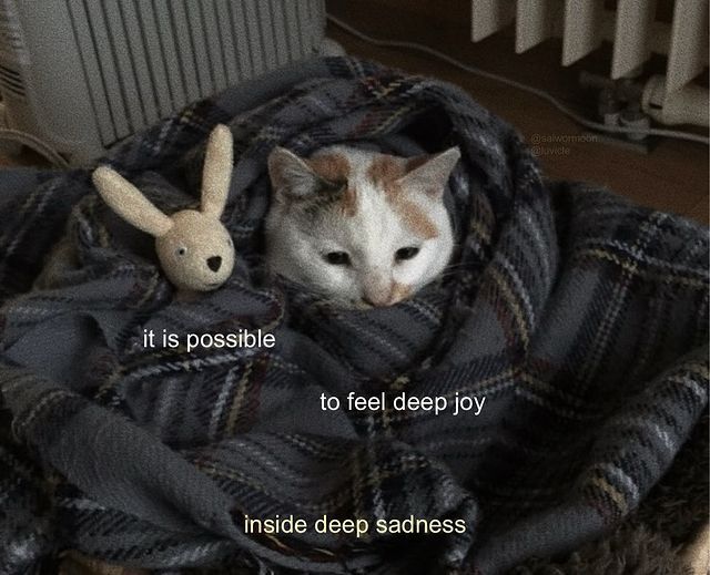 only cute things tweet media