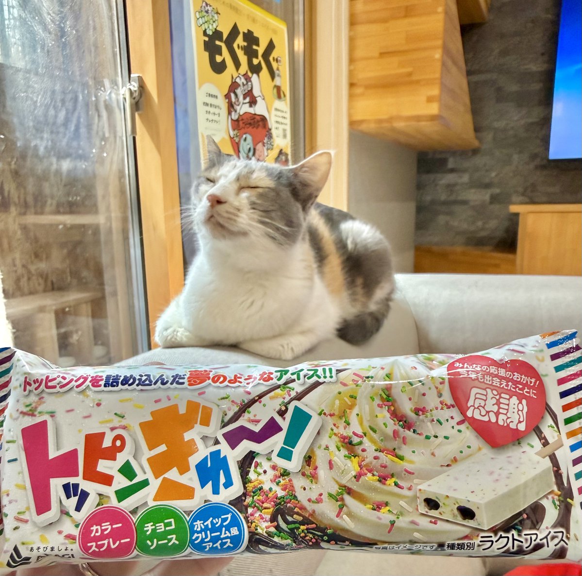 なみそ📕KEN/書籍重版！感謝📙 tweet media