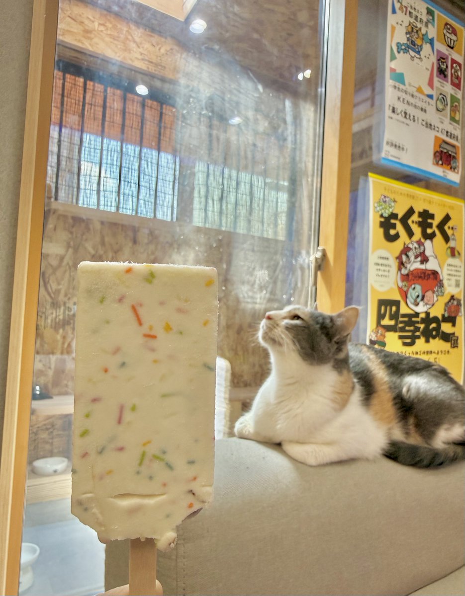 なみそ📕KEN/書籍重版！感謝📙 tweet media