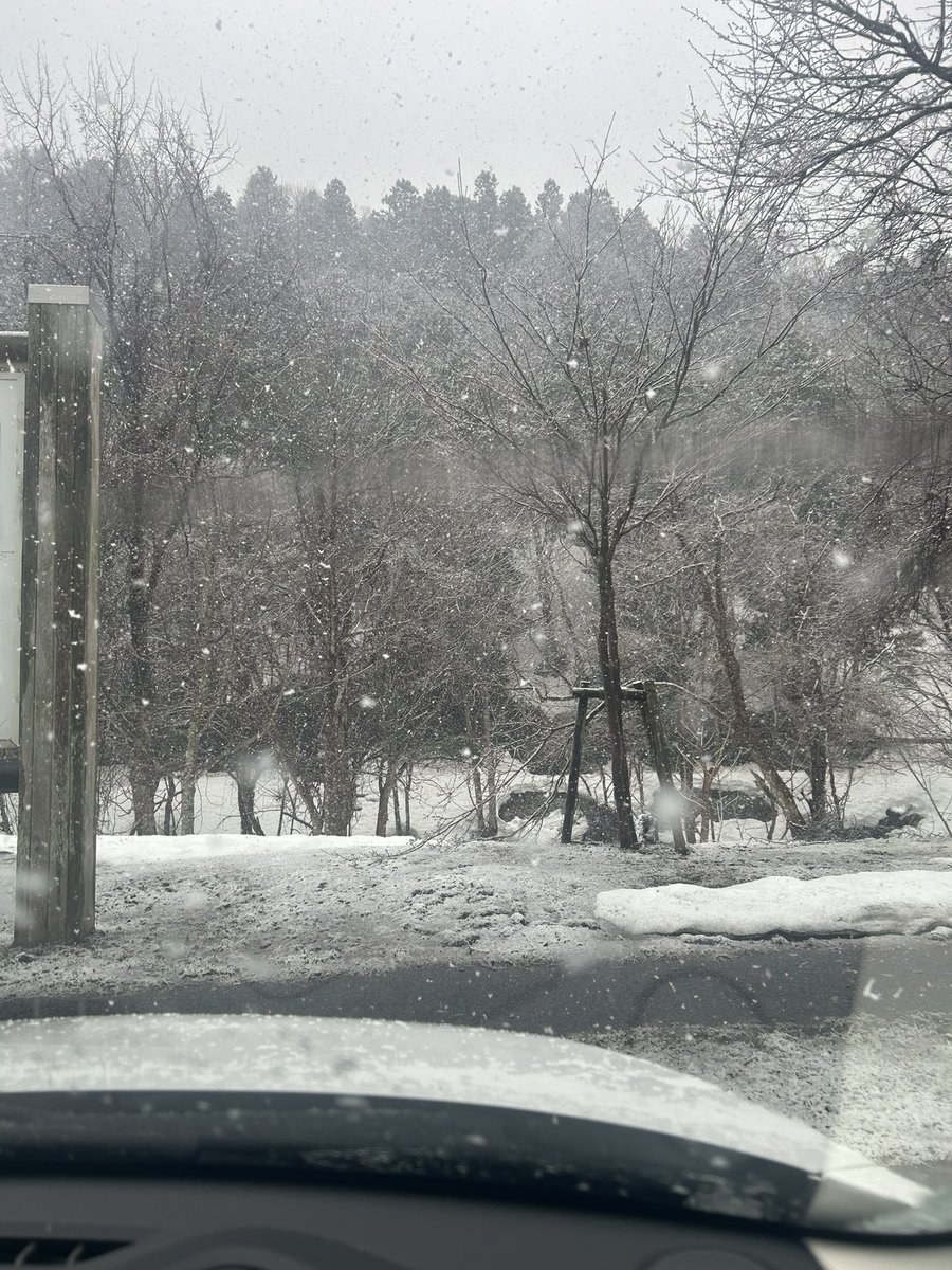 まちゅ tweet media