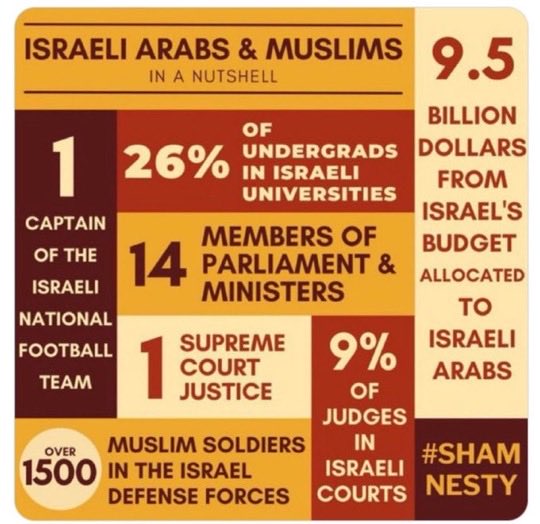 Hairy canary50 ☮️🇦🇺 tweet media