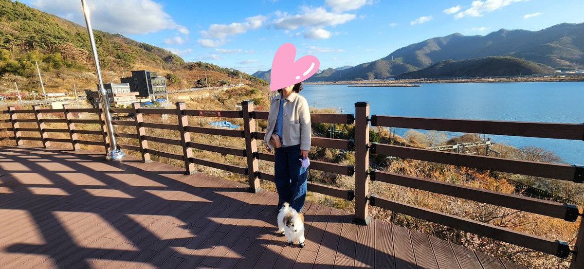 yangpa6589's tweet photo. 매화.포차 https://t.co/5pzfbp9oKI