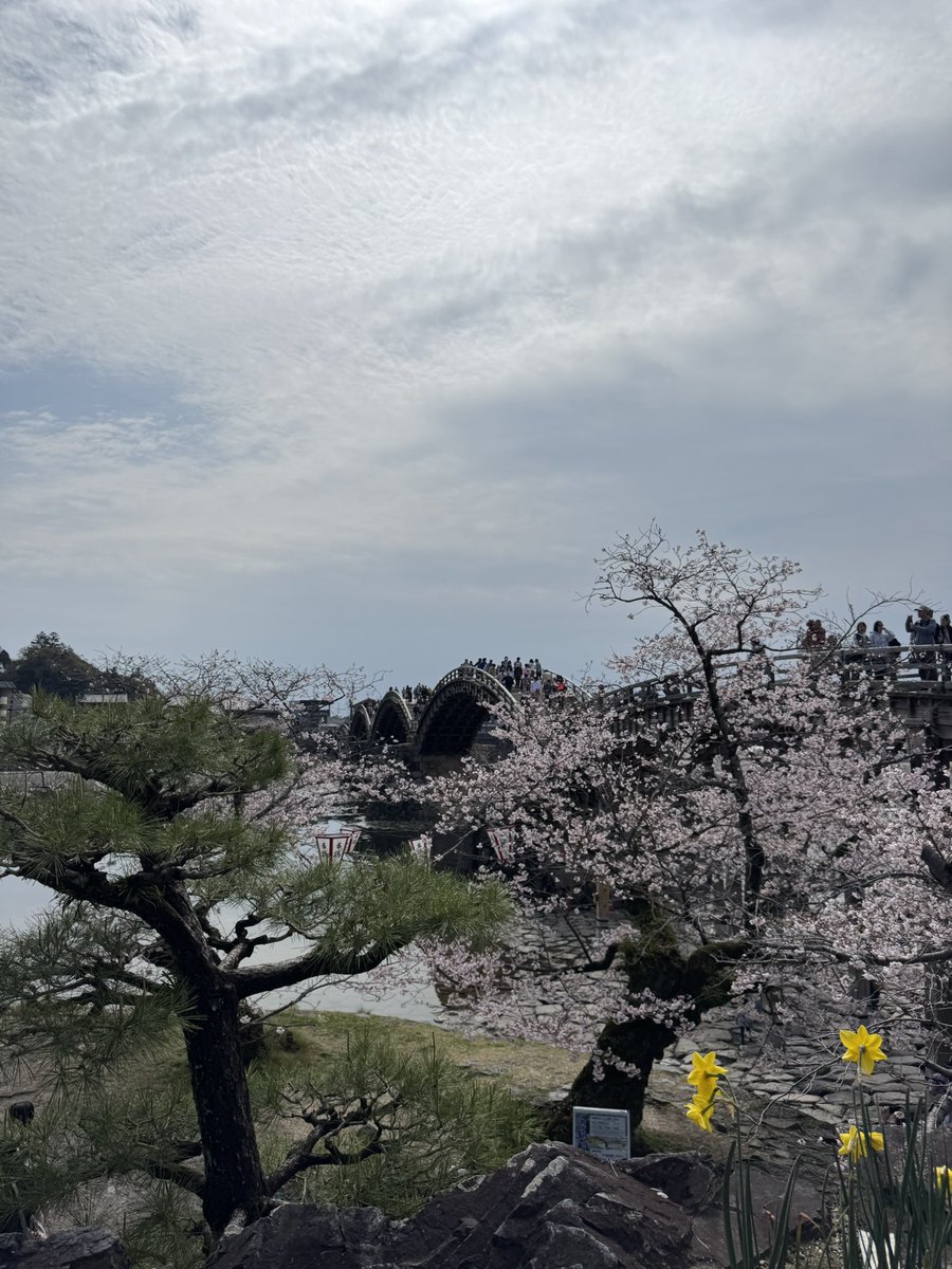 ♥️🧵久村千景🧵♥️ tweet media