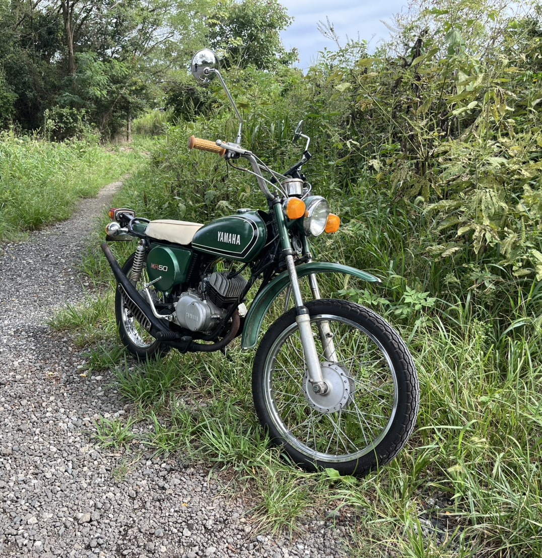 𝙈𝙞𝙠𝙞𝙩𝙤 tweet media