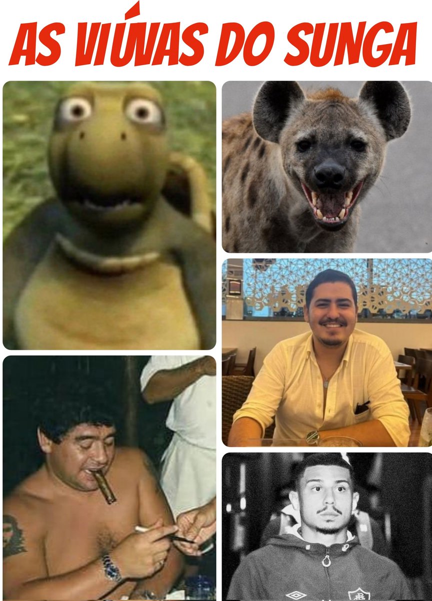 Bagre Tricolor 🇭🇺 🐟 tweet media